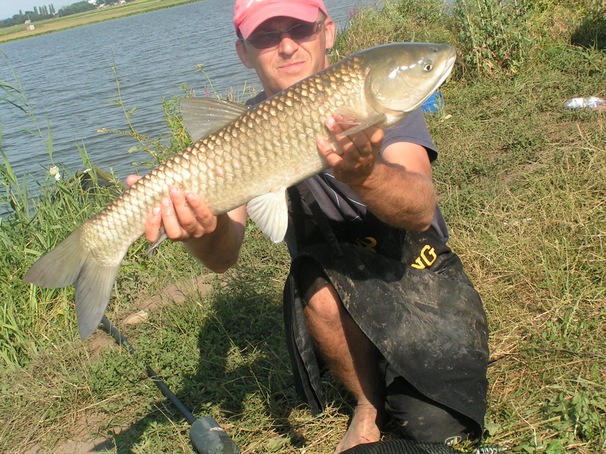 Lates 9-10.07.2012 - pict0879.JPG